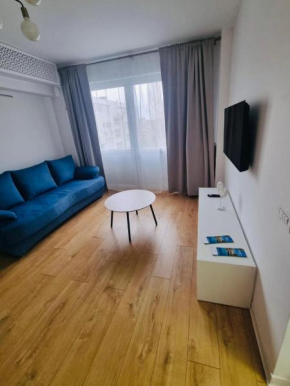 LUXURY DOWNTOWN Calea VICTORIEI